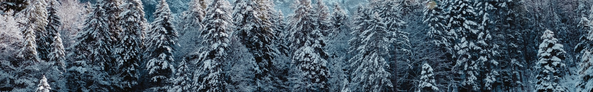 Wintersport